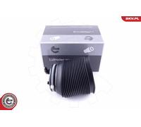 ESEN SKV Cuscinetto D'aria Posteriore Sinistro Per Toyota Land Cruiser LJ12