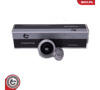 ESEN SKV Cuscinetto Stabilizzatore Esterno Destra Frontale per BMW 3er Compatto