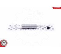 ESEN SKV Gasfeder Dämpfer Heckklappe Hinten Sinistra Adatta Per BMW 5er E60