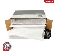 ESEN SKV Griglia Del Radiatore In Cromo Per BMW 3Er Cabriolet E93 E92