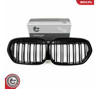 ESEN SKV Griglia Del Radiatore Nera Lucida Per BMW X1 F48