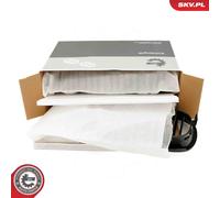 ESEN SKV Griglia Radiatore Nera Opaca Per BMW 1 Serie E81 E88 E82