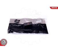 ESEN SKV Interruttore Lampeggiatore d'emergenza 36SKV716 per BMW 3 Coupe (E36)
