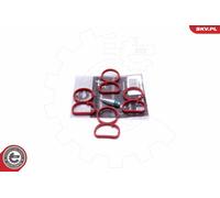 Esen Skv Kit Di Riparazione Saugrohrmodul Per Bmw X1 1Er E84 E81 E87 E83