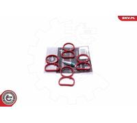 Esen Skv Kit Di Riparazione Saugrohrmodul Per Bmw X1 1Er E84 E81 E87 E83