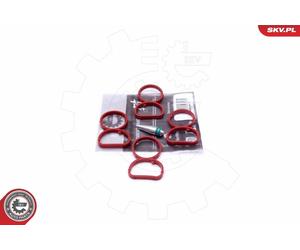 Esen Skv Kit Di Riparazione Saugrohrmodul Per Bmw X1 1Er E84 E81 E87 E83