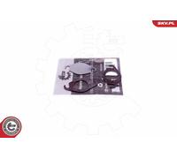Esen Skv Kit Di Riparazione Saugrohrmodul Per Ford Transit Connect Focus P65 P70