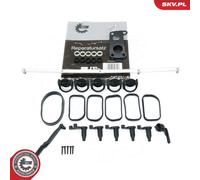 Kit riparazione, modulo collettore aspirazione 49SKV506 ESEN SKV per CHRYSLER