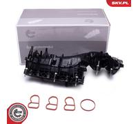 ESEN SKV Modulo Collettore Aspirazione Ansaugkrümme Adatto per BMW 1er F20 116d