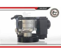 ESEN SKV Pompa Del Servosterzo per Citroën Berlingo Peugeot 206 Partner 10SKV171