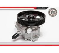Esen Skv Pompa Servizio Per Citroën Berlingo B9 Peugeot Partner Tepee 10SKV023