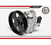 ESEN SKV Pompa Servizio Per Peugeot 306 Cabriolet Fiat Scudo Combinato ULYSSE