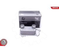 ESEN SKV Radiatore Olio Adatto A per BMW X1 E84 xDrive18d sDrive18d 1er E81 118d