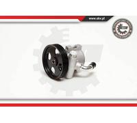 ESEN SKV Servo Pompa per Citroën Berlingo Zx Break Peugeot Partner Combispace