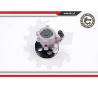 ESEN SKV Servo Pompa per Citroën Zx Berlingo Peugeot Partner Combispace 405 II