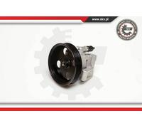 ESEN SKV Servo Pompa per JAGUAR S-TYPE X200 XF _J05_ CC9 X350 X358 10SKV050