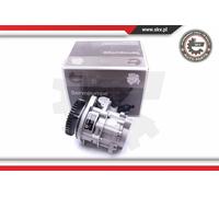 ESEN SKV Servo Pompa per VW Lt 28-46 II Scatola 2DX0AE 2DX0FE 2DB 2DE 2DK