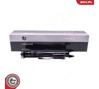 ESEN SKV Sospensione A Bolla Posteriore Doppia Per Mercedes R-Class W251 V251