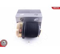 Borsa a molla con sospensione pneumatica AUDI A6 C6 (4FH, 4F2, 4F5)