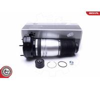 ESEN SKV Sospensione Pneumatica Posteriore Per Audi A8 4H2 4H8 4HC 4HL