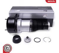 ESEN SKV Sospensione Pneumatica Posteriore Per Mercedes S-Class W221 C216