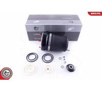 Borsa a molla con sospensione pneumatica BMW X5 (E53)