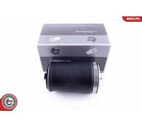 ESEN SKV Sospensione Pneumatica Sacco D'aria Posteriore Sinistro Per BMW X5 E53