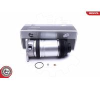 ESEN SKV 58SKV067 Molla pneumatica