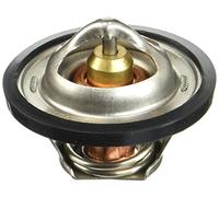 ESEN SKV 20skv015 motore