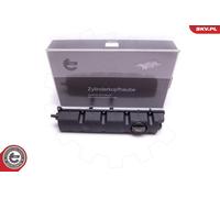 ESEN SKV Valvola Coperchio Testata per Peugeot 307 Cc Citroën C4 Picasso I