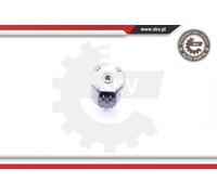 ESEN SKV Valvola Fasatura Albero a Camme per Peugeot 206 Cc 207 39SKV027