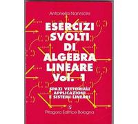 Esercizi svolti di algebra lineare. Vol. 1