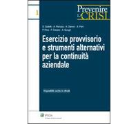 Esercizio provvisorio e strumenti alternativi per la continuità aziendale