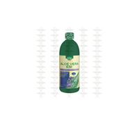 ESI ALOE VERA SUCCO MIRTILLO 1000ML