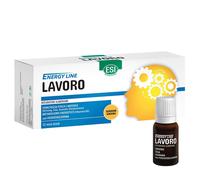 Esi energy line lavoro 12mini