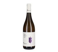 Esino Bianco Belisario 2023