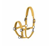 Eskadron Cavezza in finta pelle Double Pin dorato giallo platino 2025, taglia: P2