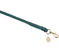 ESKADRON Duralastik Lead Rope Carabiner - Vintage Green