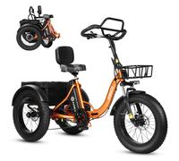 ESKUTE T302 Pro E-bike cargo da 20" con motore da 250W, batteria da 48