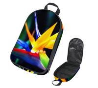 Eslifey Borsa organizer per utensili da cucina da viaggio, scheletro con teschio di moto, borsa portatile per barbecue, kit da cucina, Multicolore 13, 14.7x8.74x2.17in/36x22.2x25.5cm, Organizer per