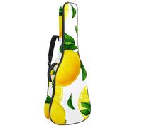 Eslifey Custodia per chitarra acustica retrò etnica mandala delfini tracolla regolabile custodia per chitarra custodia per chitarra 40 41 42 pollici, Multicolore 4., 42.9x16.9x4.7 in, Organizer per