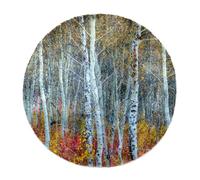 Eslifey Grande tappeto rotondo e soffice, 100 cm, di lusso, morbido, antiscivolo, tappeto peloso, foresta del parco naturale di Peneda Geres, tappeto in finta pelliccia, per il pavimento della