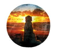 Eslifey Tappeto morbido e soffice, 80 cm, per soggiorno e camera da letto, motivo: Labrador Retriever che guarda il tramonto, antiscivolo, lavabile, per camera da letto, area giochi e camera dei