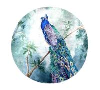 Eslifey Tappeto shaggy morbido e lussuoso, 70 cm, acquarello, pavone, uccelli, paradiso, tappeto moderno e antiscivolo, decorazione per casa, camera da letto, camera dei bambini e soggiorno