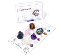 esmen Set di Pietre grezze Cristallo Naturale per i 12 segni zodiacali, Tutorial Standard DIY Minerale, Scatola PP, 1 Set (Ariete a Scorpione)(Capricorn)
