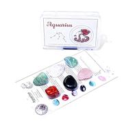 esmen Set di Pietre grezze Cristallo Naturale per i 12 segni zodiacali, Tutorial Standard DIY Minerale, Scatola PP, 1 Set (Ariete a Scorpione)(Aquarius)