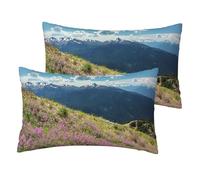 ESNAIUVCD Federa per cuscino rettangolare con stampa di montagne, federa per cuscino traspirante per hotel, casa, letto, decorazione (2 pezzi)