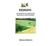 Esodato. Un esodato in viaggio fra industria e provvidenza