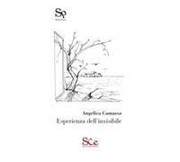 Esperienza dell'invisibile