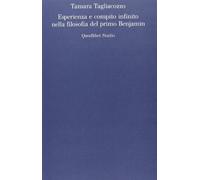 Esperienza e compito infinito nella filosofia del primo Benjamin